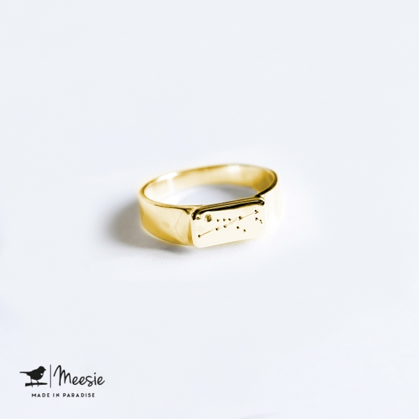 Ring Sterrenbeeld Stier goud op zilver Ring Sterrenbeeld Stier goud op zilver